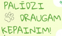 kepainis